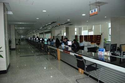 努力構(gòu)建為民務(wù)實(shí)清廉高效人民滿意的行政服務(wù)大廳與公共資源交易運(yùn)行技術(shù)服務(wù)